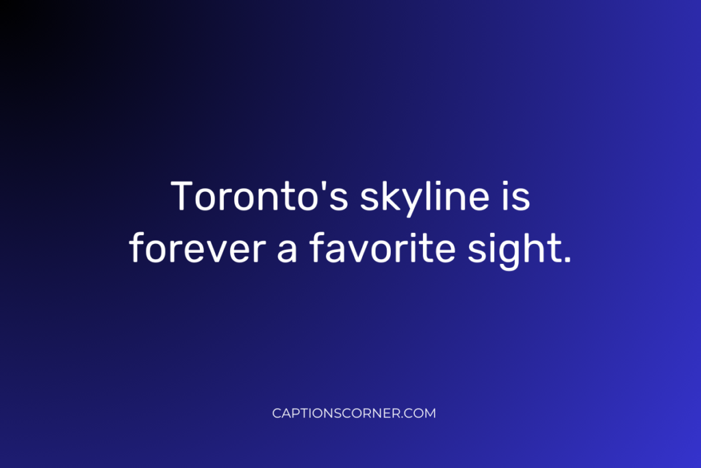 Captions for Toronto Skyline